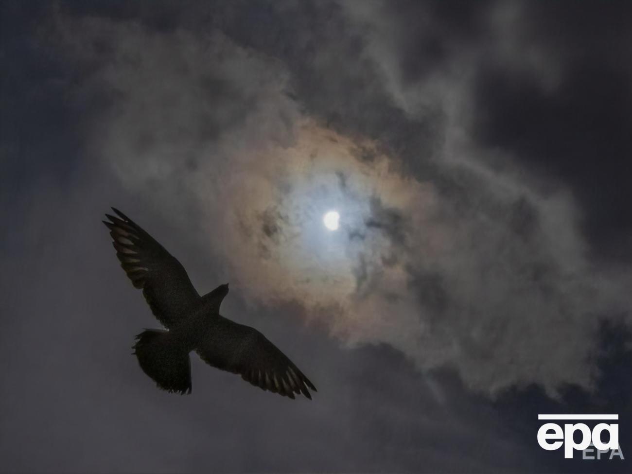 У Украины есть два наноспутника студентов из Киева