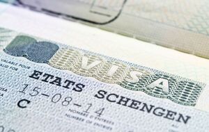 Реформа визовой информационной системы должна облегчить работу визовых, пограничных и миграционных служб стран ЕС