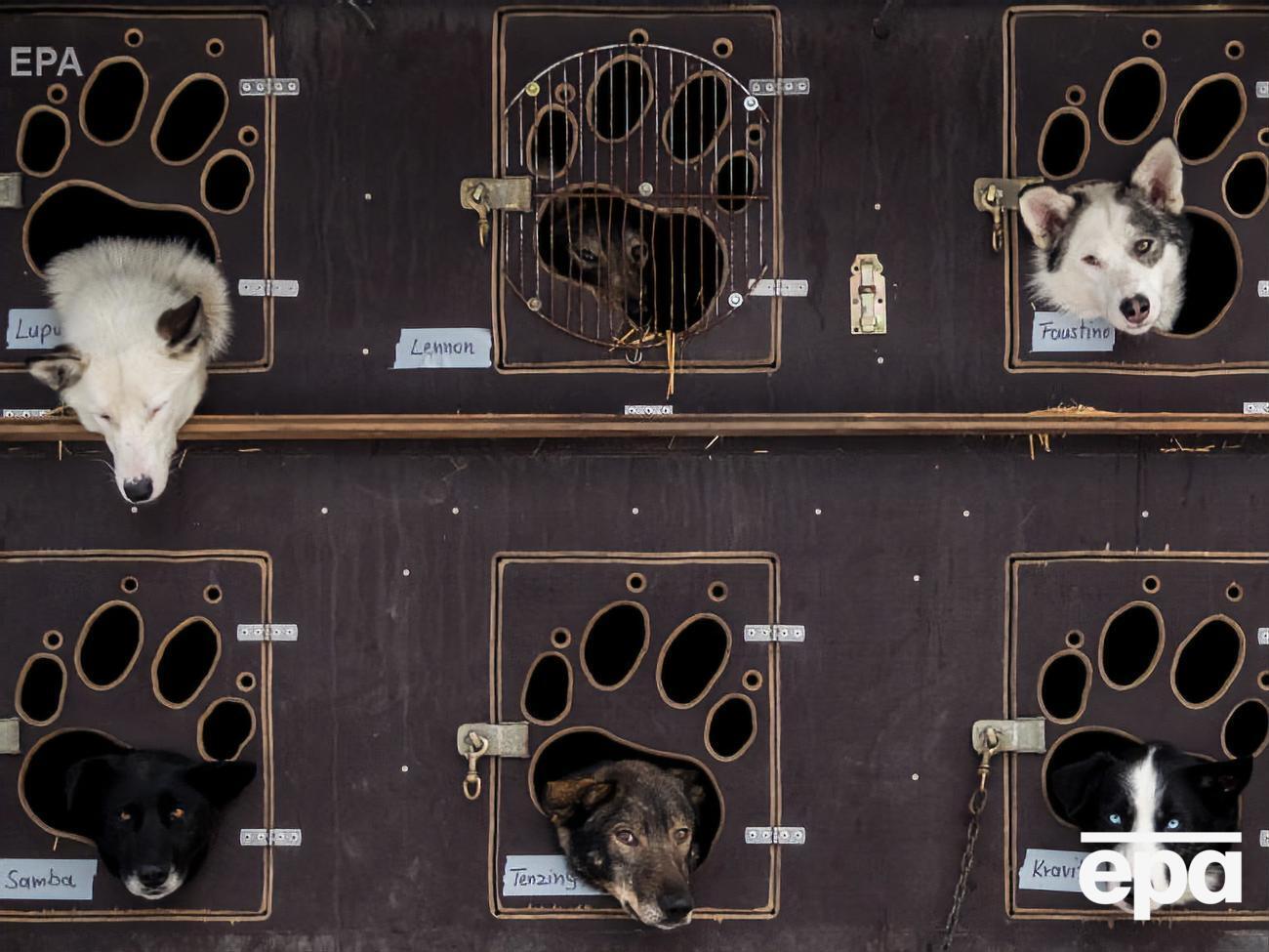 Брагарь утверждает, что никого не хотел обидеть