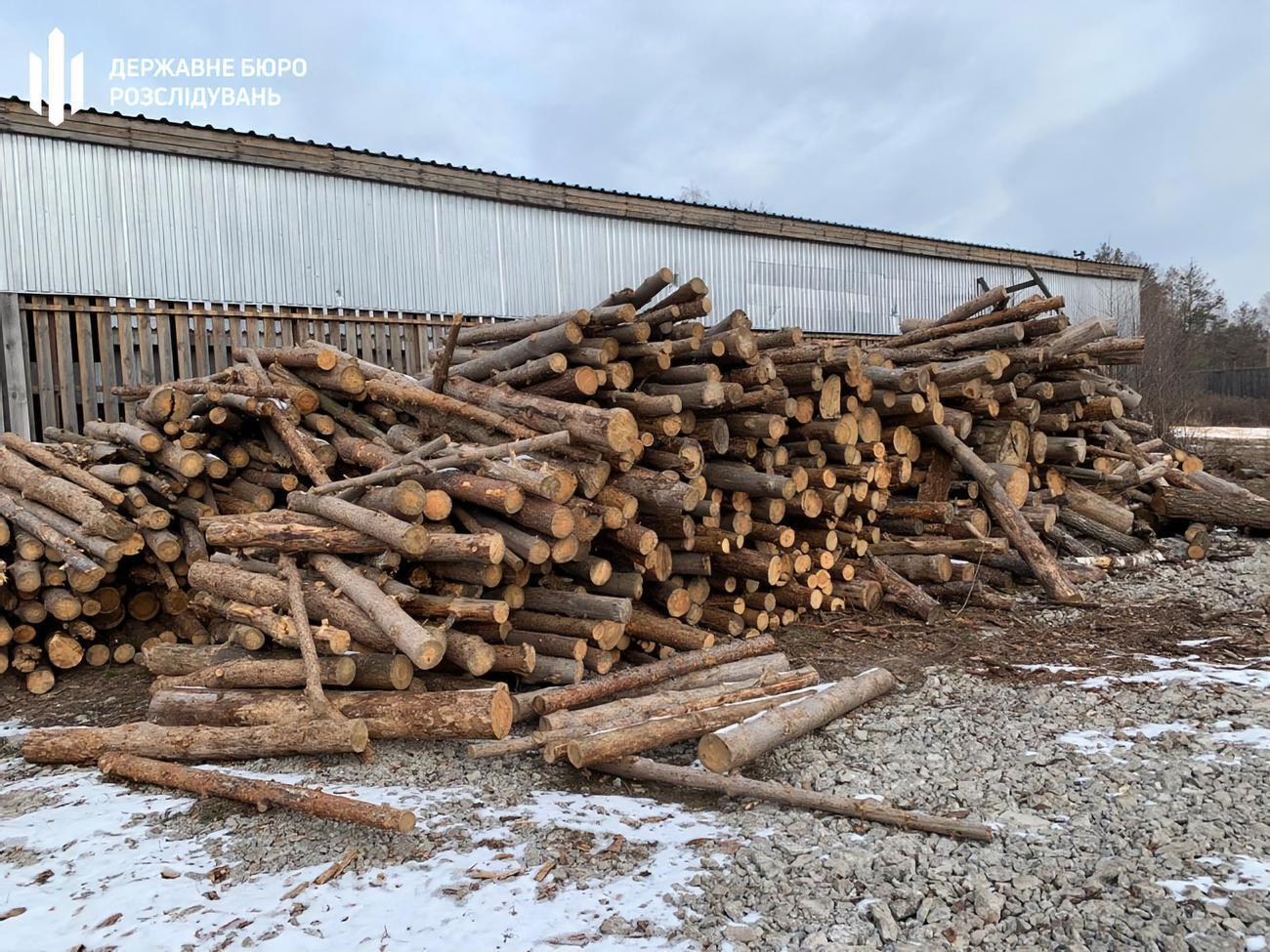 Ущерб от незаконных рубок составил более 6 млн грн