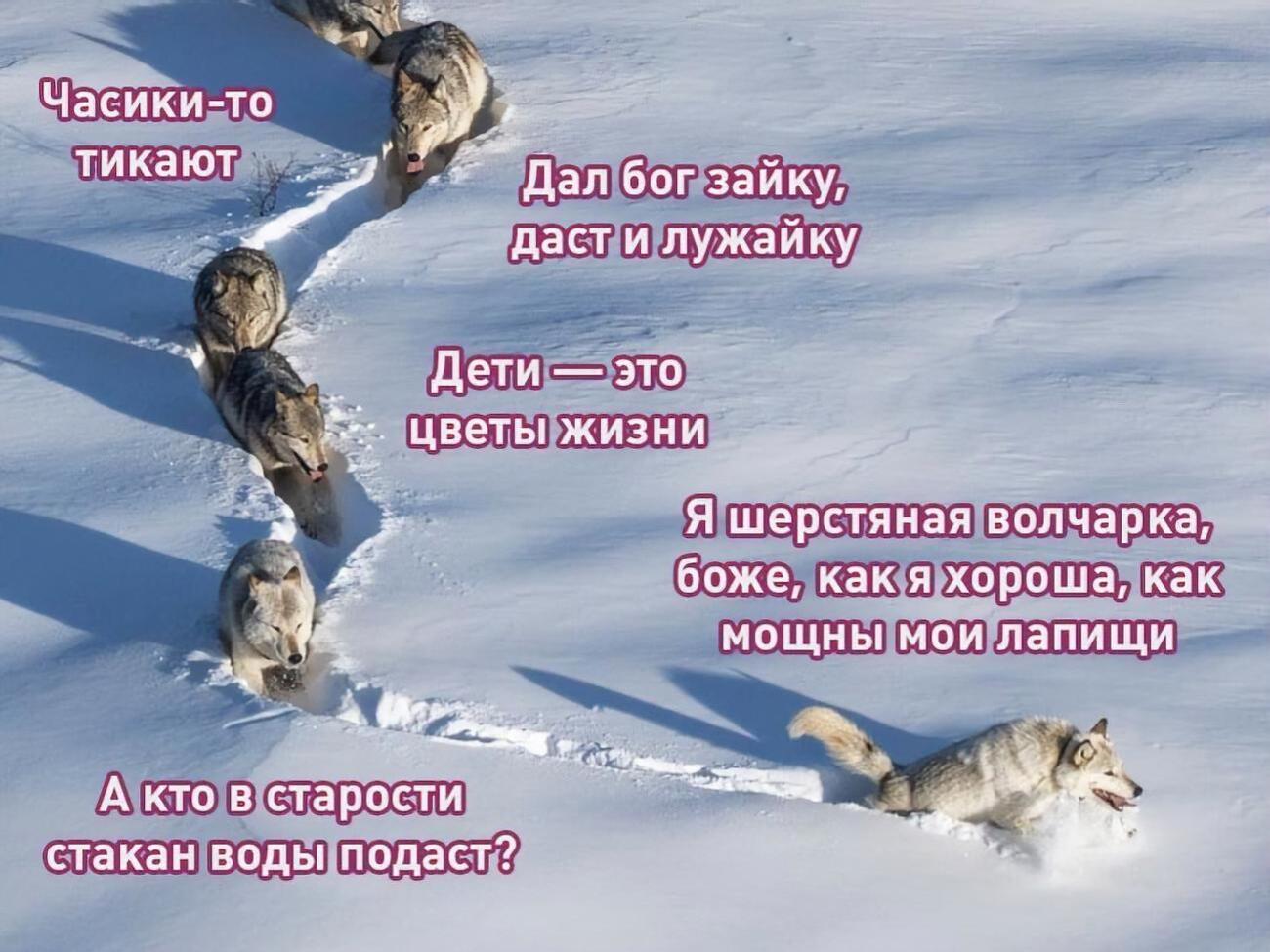 Спустя четыре года популярный мем обрел новую жизнь