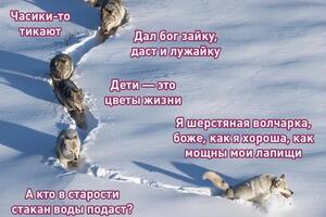 Спустя четыре года популярный мем обрел новую жизнь
