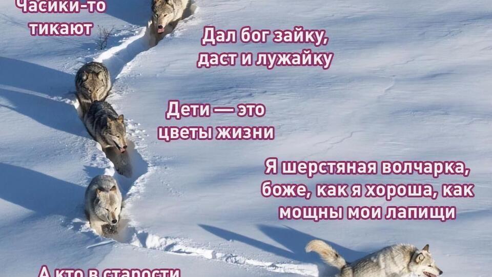 Спустя четыре года популярный мем обрел новую жизнь