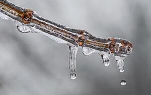 Теплая зима является последствием глобального потепления, сказала Краковская