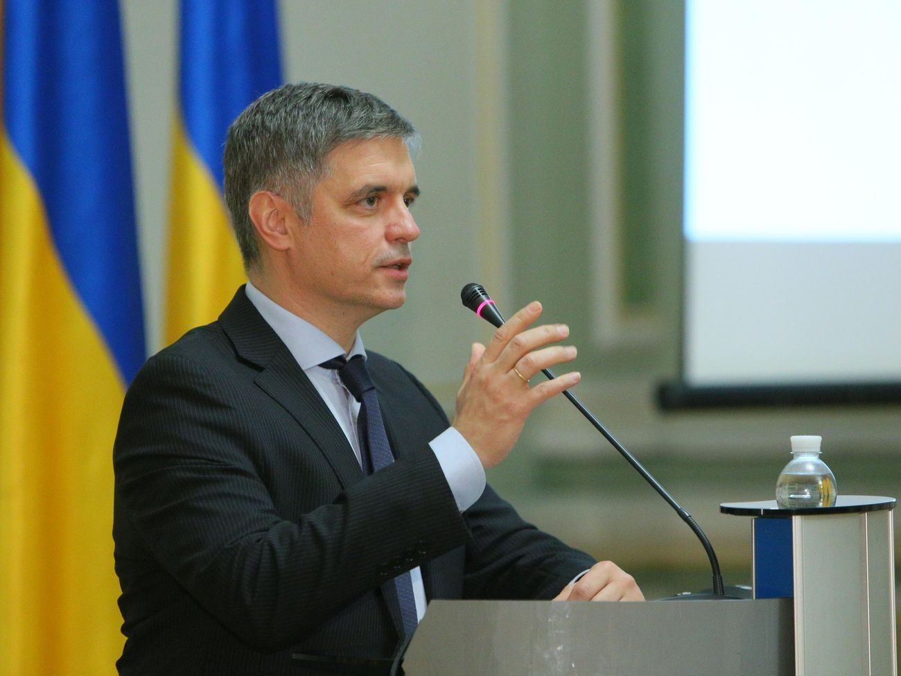 Пристайко: Наскільки це життєва конструкція &ndash; це є предметом обговорення, яке ведеться прямо зараз