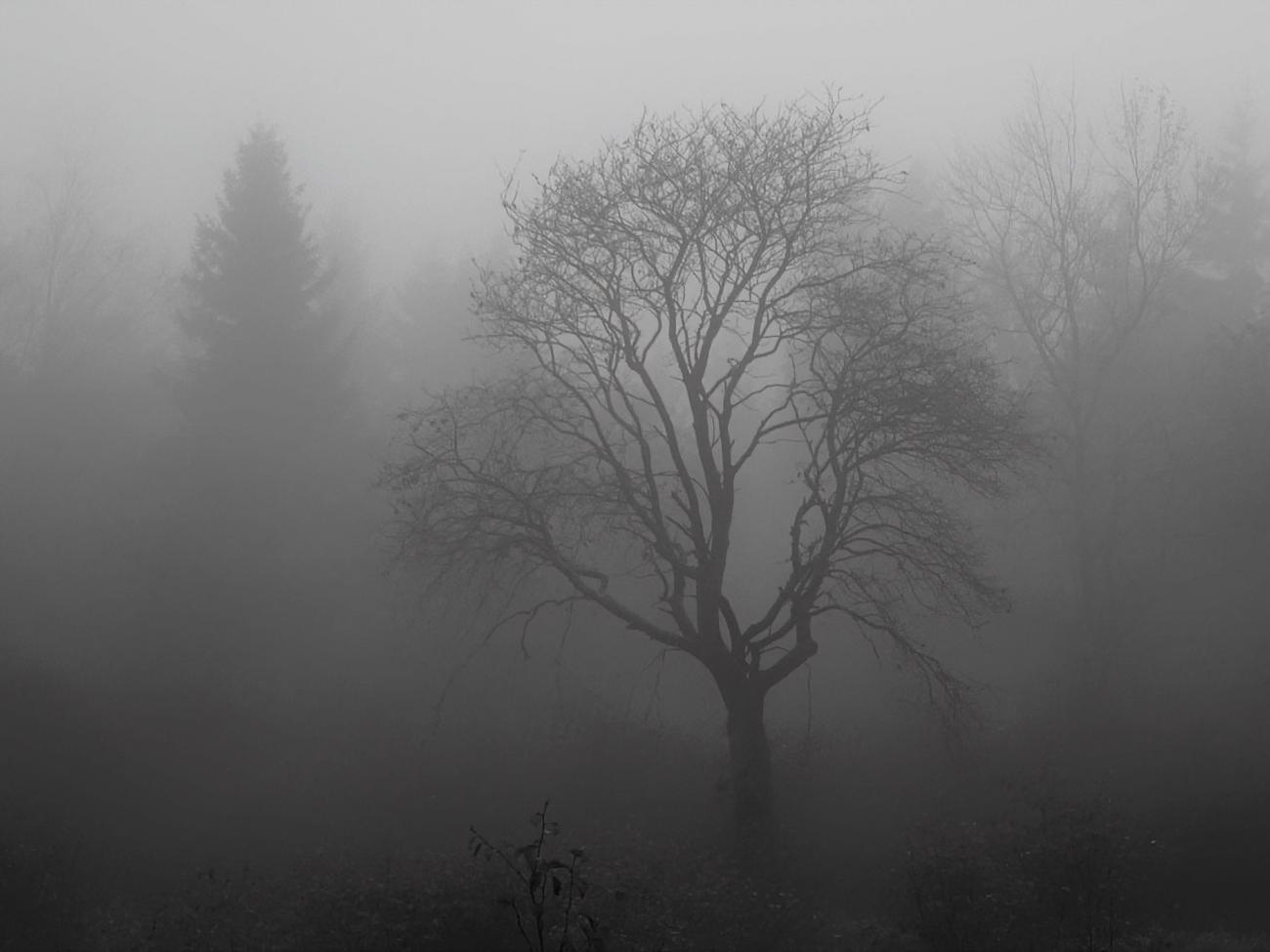 Завтра утром в южных, восточных и центральных областях местами будет туман