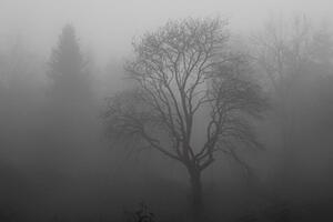 Завтра вранці у південних, східних і центральних областях подекуди буде туман