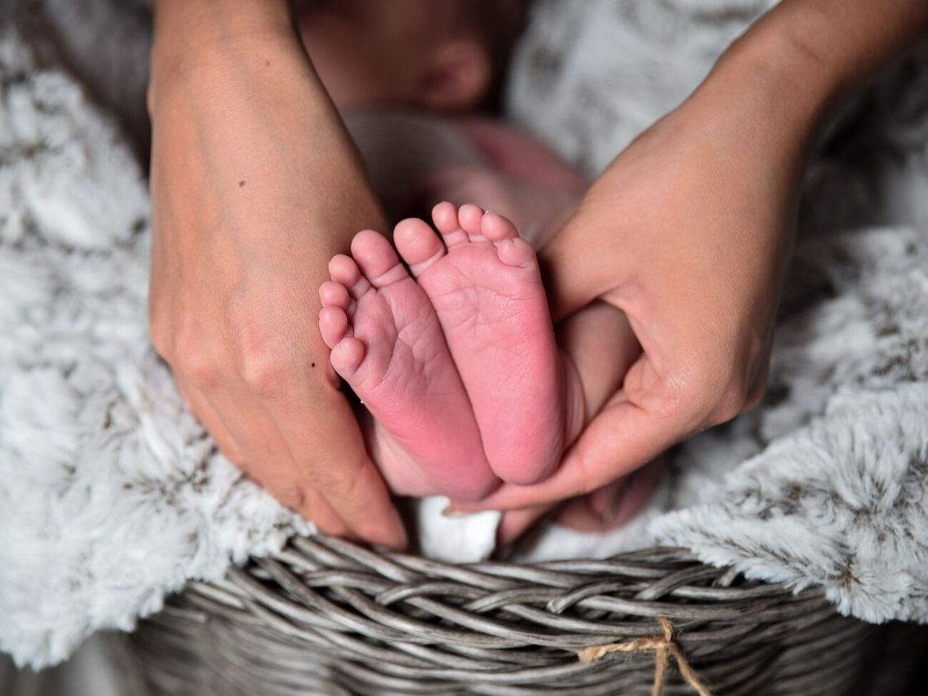 Кількість народжених у Польщі українців зросла на 35%