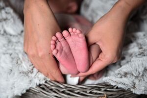 Кількість народжених у Польщі українців зросла на 35%