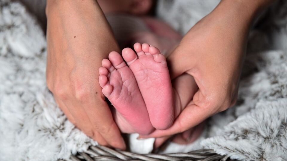 Кількість народжених у Польщі українців зросла на 35%