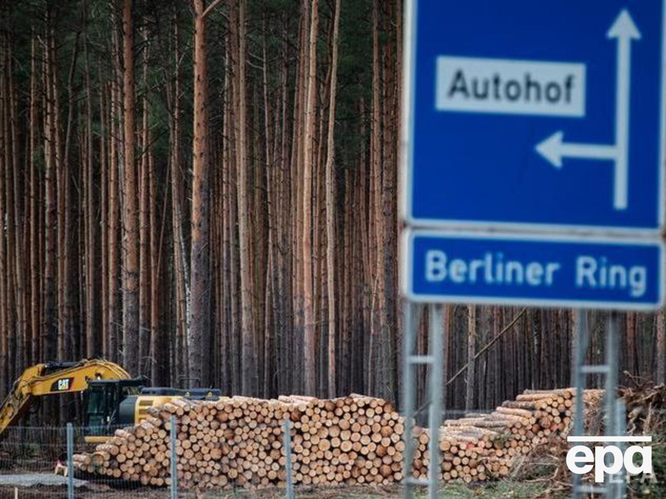 Для начала строительства&nbsp;Gigafactory нужно вырубить 91 га леса