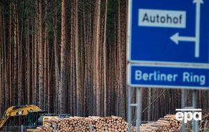 Для начала строительства Gigafactory нужно вырубить 91 га леса