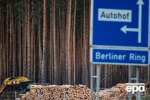 Для начала строительства Gigafactory нужно вырубить 91 га леса