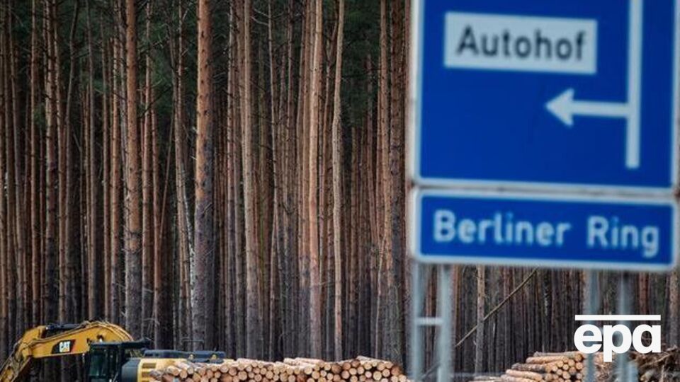 Для начала строительства Gigafactory нужно вырубить 91 га леса