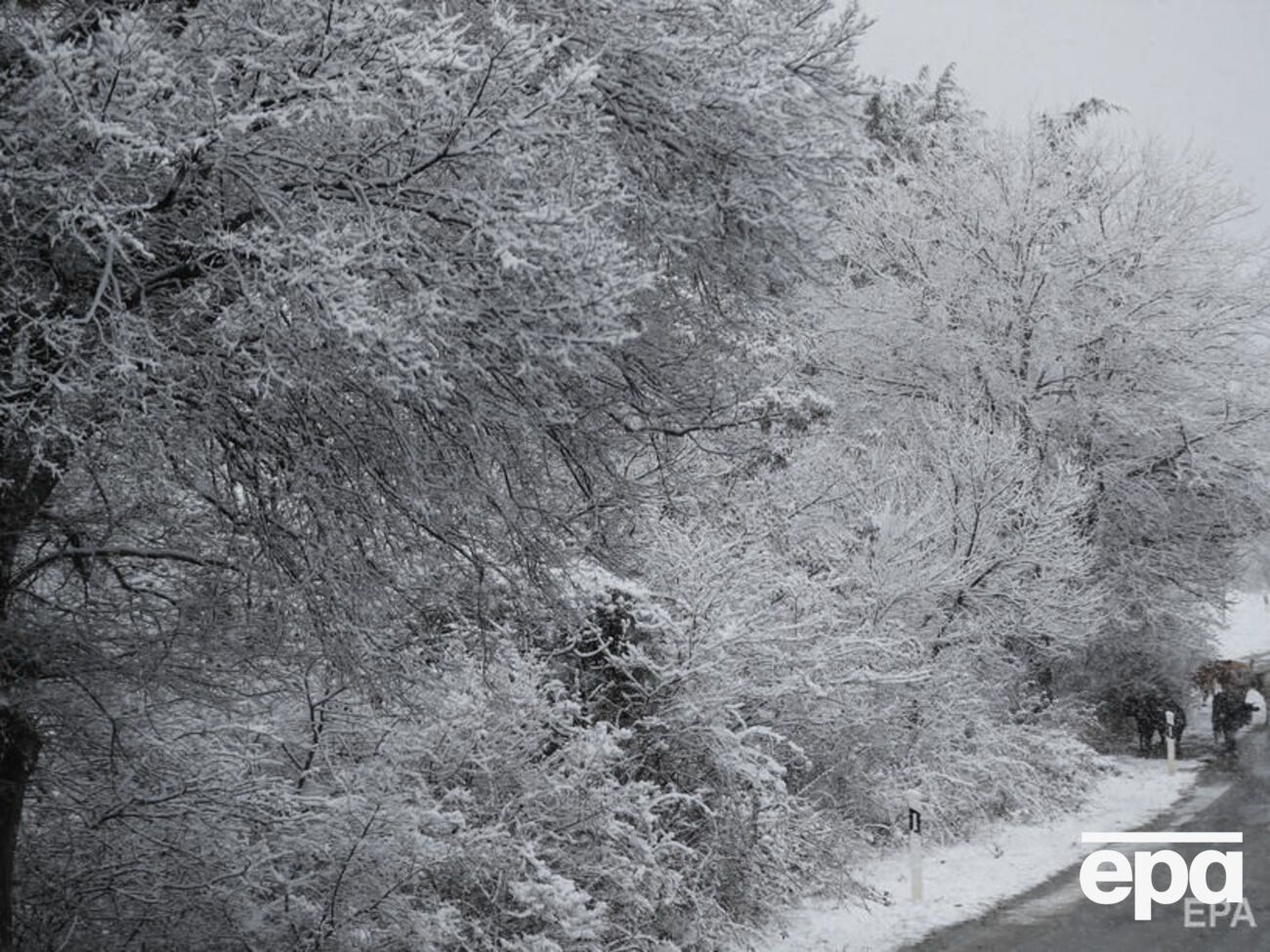 24 февраля в Украине ожидается мокрый снег
