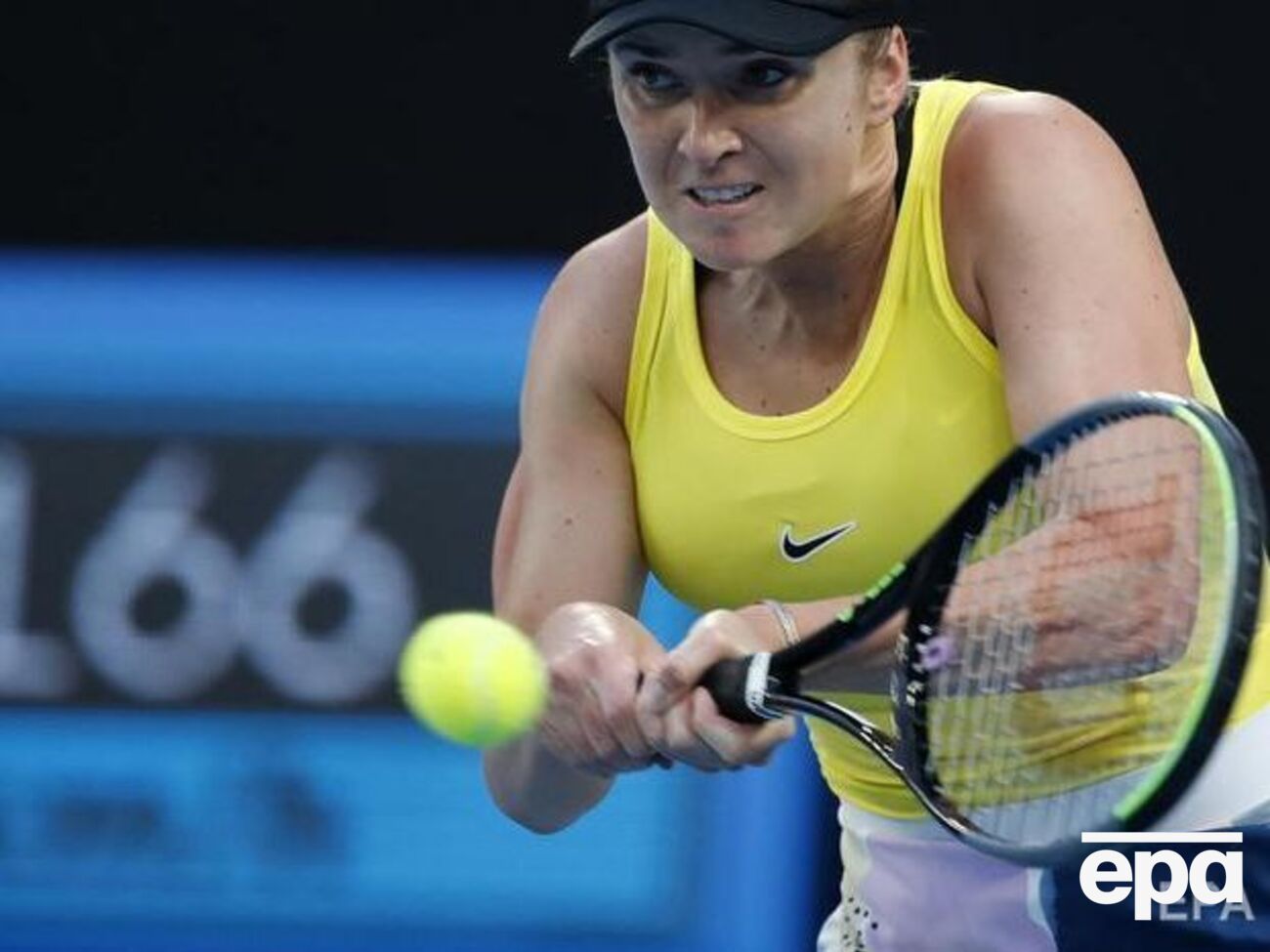 На турнірі в Досі Світоліна п'ята сіяна в одиночному розряді