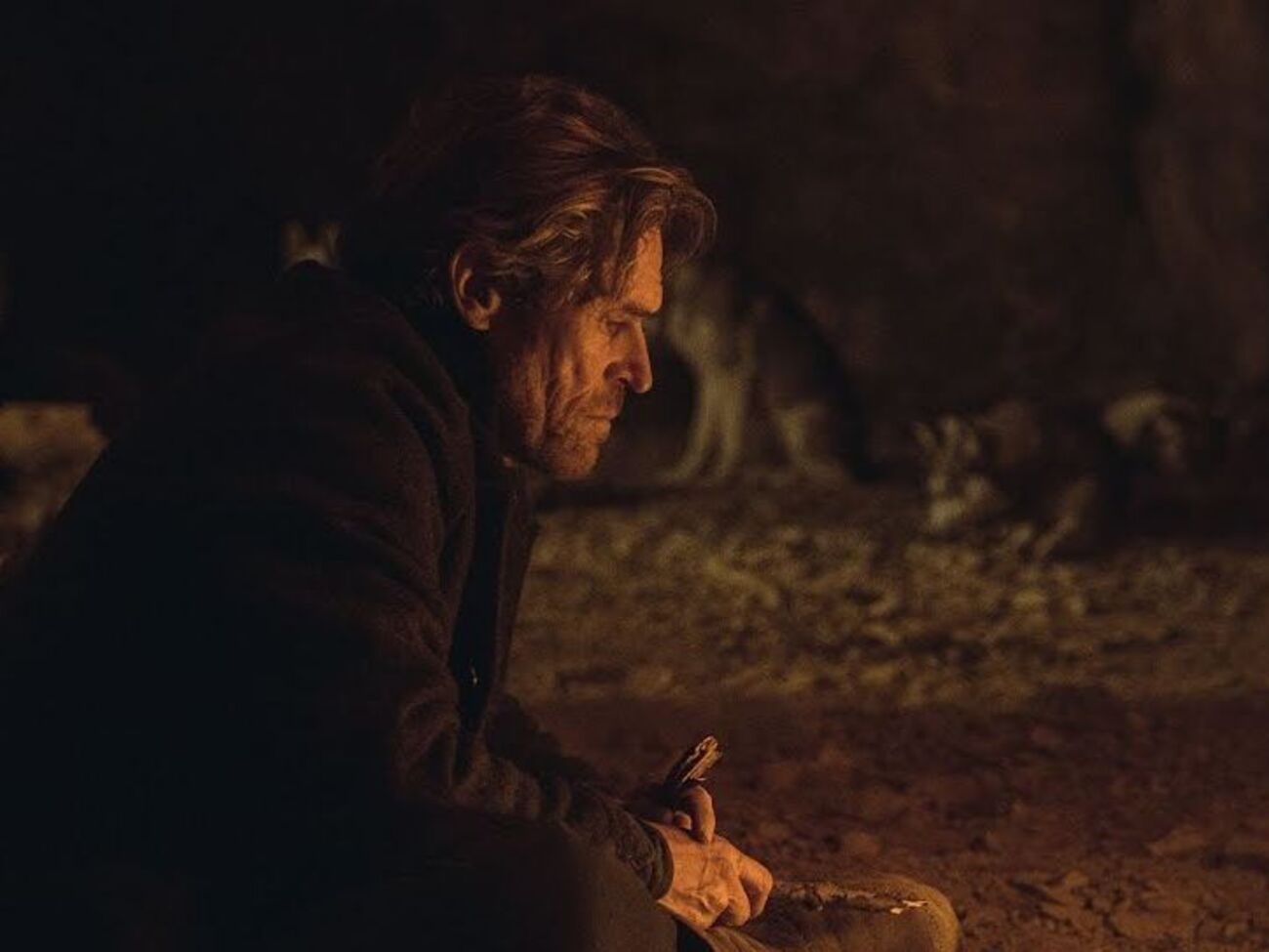 Премьера фильма состоялась на Берлинском кинофестивале