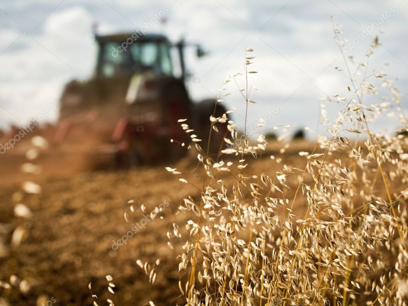Действующая система исследований пестицидов не является эффективной, считают в&nbsp;Минэкоэнерго