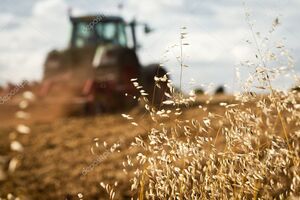 Действующая система исследований пестицидов не является эффективной, считают в Минэкоэнерго