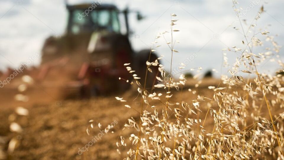 Действующая система исследований пестицидов не является эффективной, считают в Минэкоэнерго