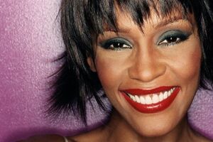 Концерт цифрового зображення Г'юстон відвідало 2,2 тис. глядачів