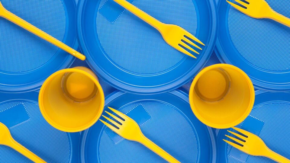 Под запрет попали стаканчики, тарелки, чашки, палочки для размешивания напитков, соломинки, а также упаковка для продуктов общепита