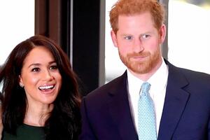 Принц Гарри и герцогиня Меган используют охрану не по назначению – СМИ