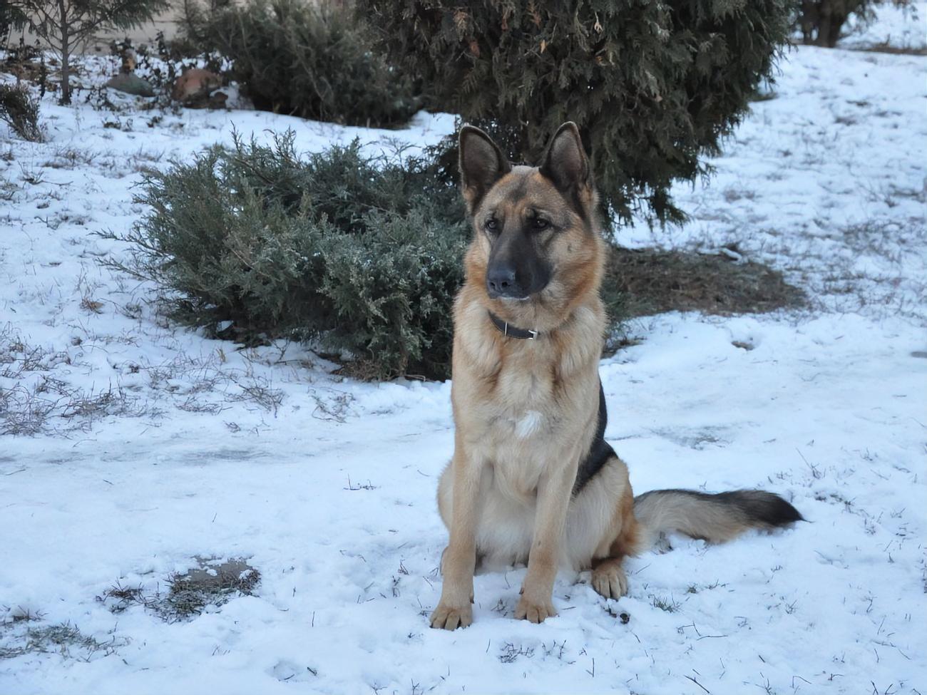 В Киеве за январь выпало 21 мм осадков, что составило лишь 44% климатической нормы, сообщили в обсерватории&nbsp;