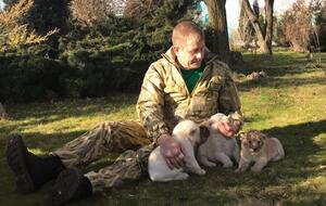Зубков владеет парком львов в оккупированном Крыму