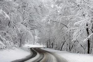 Чечеткин сообщил, что существенное осложнение погодных условий ожидается 5-го и 6 февраля на территории всей страны
