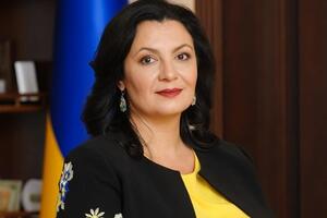 Климпуш-Цинцадзе: Мы в любом случае будем настаивать на рассмотрении нашего альтернативного законопроекта