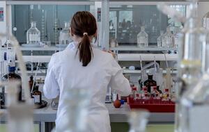 За даними ВООЗ, у період із 2000-го до 2015 року ймовірність смерті від раку знизилася на 20% у країнах із високим рівнем доходу, із низьким – лише на 5%