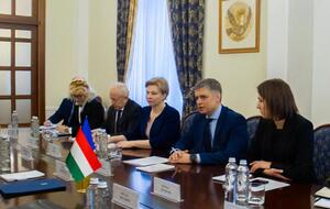 Пристайко встретился с Сийярто