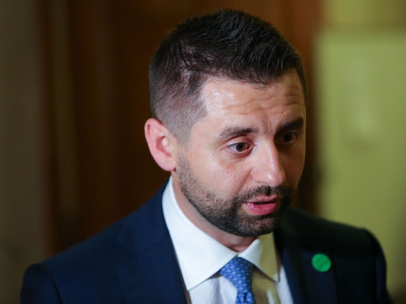 Арахамія заявив, що землю правоохоронці та чиновники отримують "на шару"