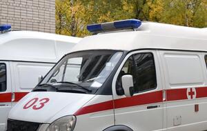 Медикам не удалось спасти детей