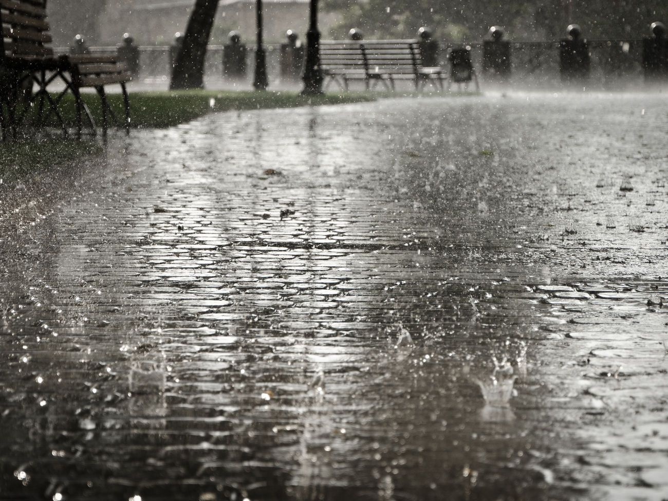 У Києві середа буде дощовою і вітряною, повідомила синоптикиня