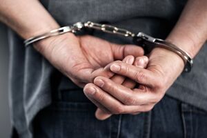 Роль задержанного в преступлении была больше, чем "обычного титушки-пехотинца", утверждает Луценко