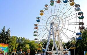 Инцидент произошел в парке "Дубовая роща"