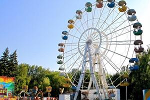 Инцидент произошел в парке "Дубовая роща"