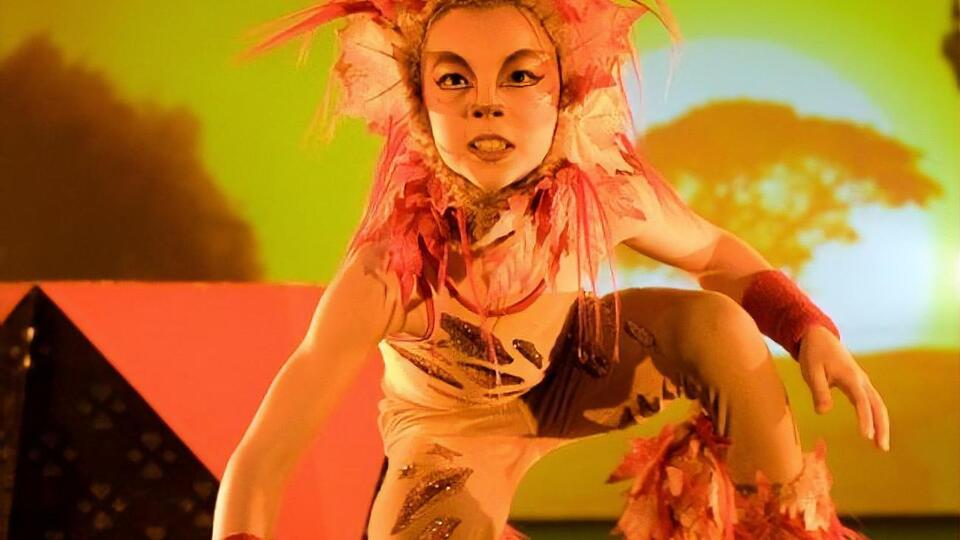 Cirque du Soleil ставить на паузу гастролі у зв'язку з коронавірусом