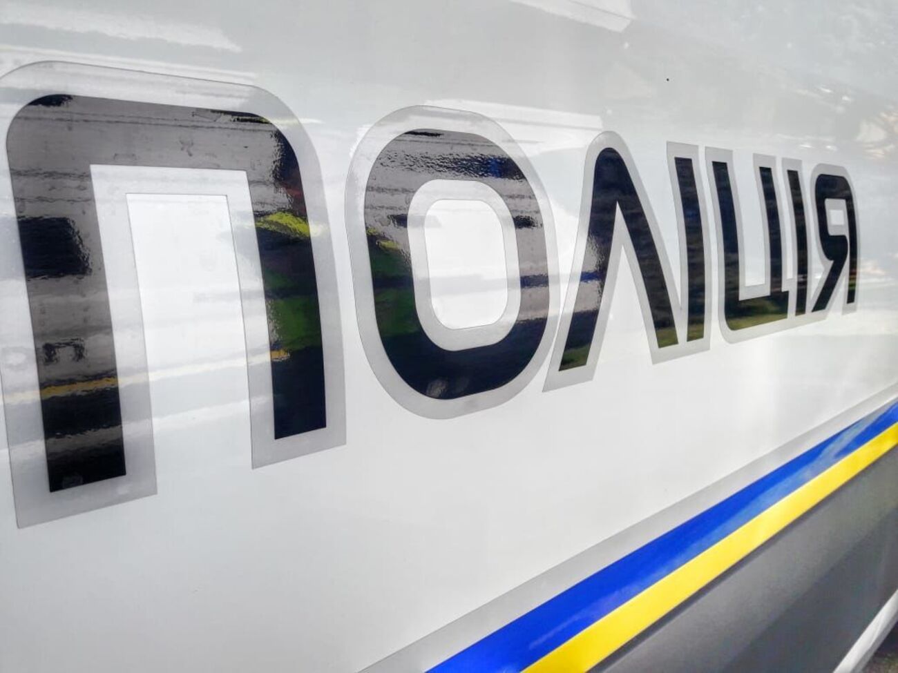 Нацполіція України зафіксувала 270 порушень правил дотримання карантину. Інфографіка