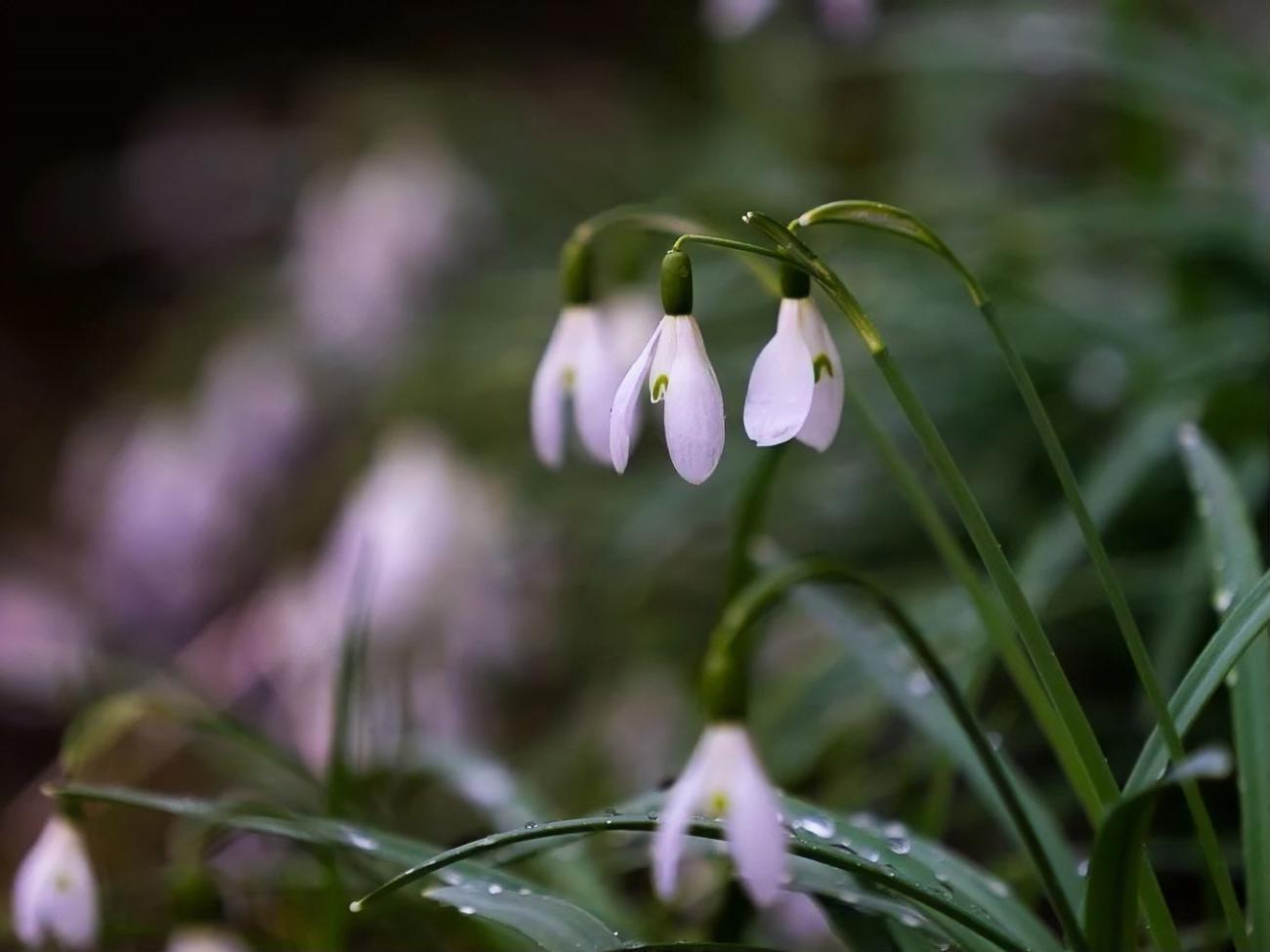 Синоптики прогнозируют, что на этой неделе в Украине температура воздуха достигнет +18 &ordm;С