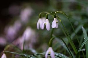Синоптики прогнозируют, что на этой неделе в Украине температура воздуха достигнет +18 ºС