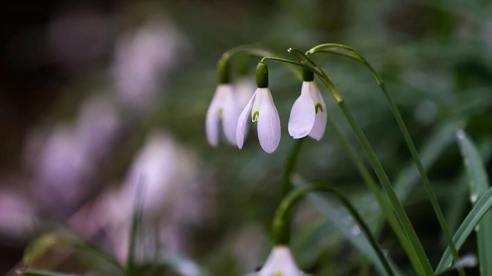 Синоптики прогнозируют, что на этой неделе в Украине температура воздуха достигнет +18 ºС