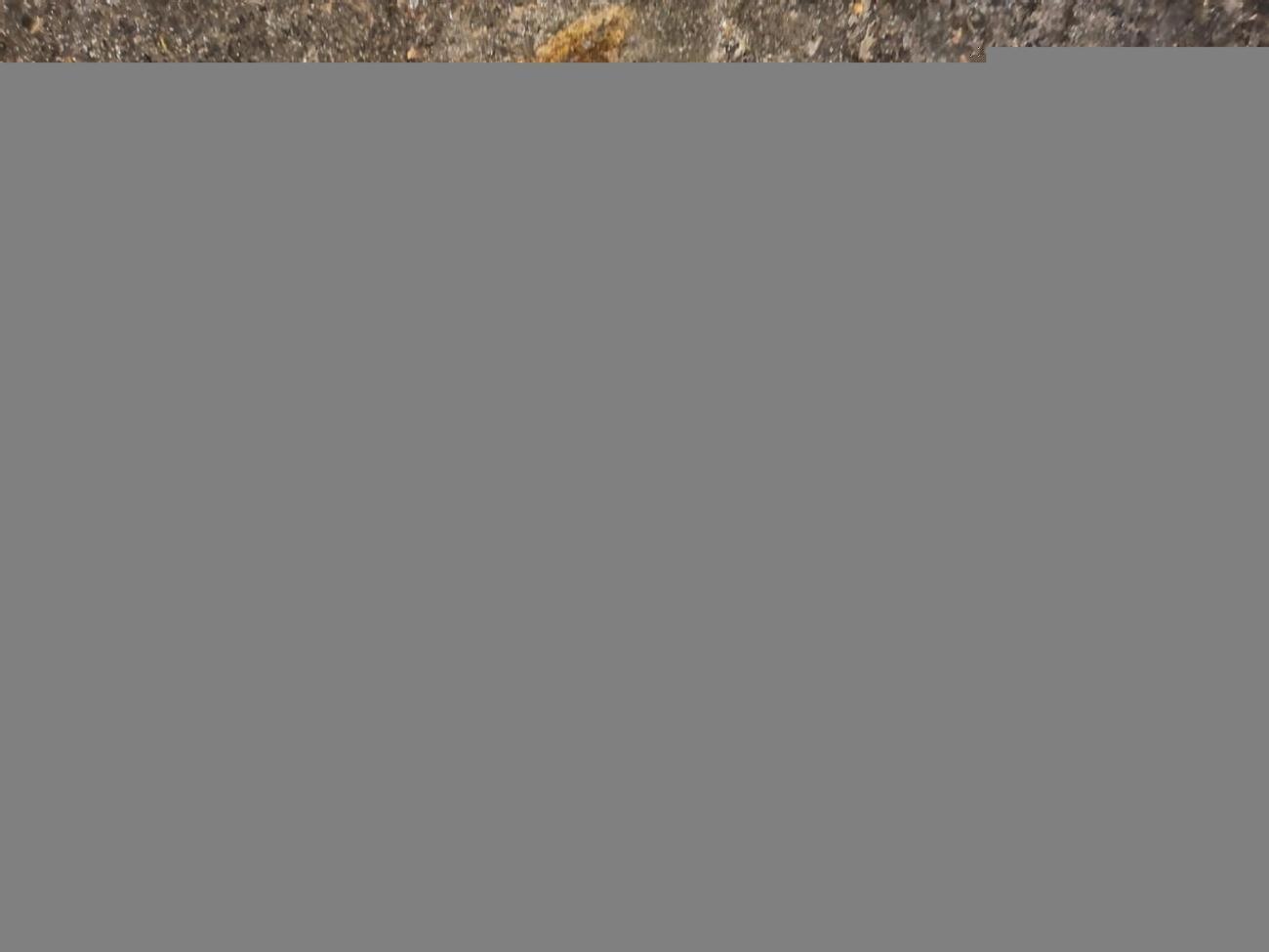 Полицейского ранили в ногу из травматического пистолета