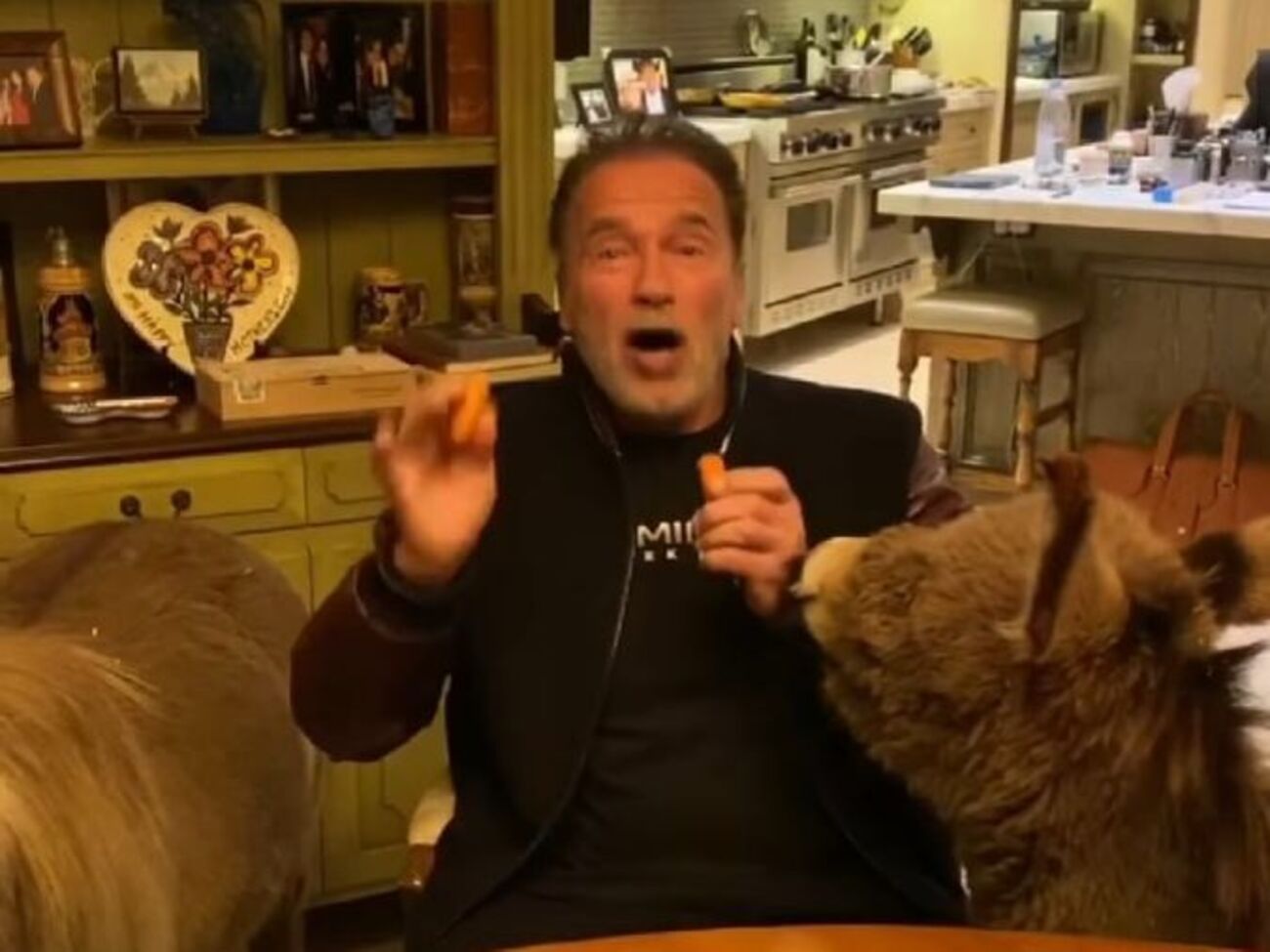 Шварценеггер: Треба ладнати, а не кусатися