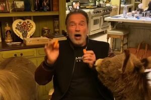 Шварценеггер: Треба ладнати, а не кусатися