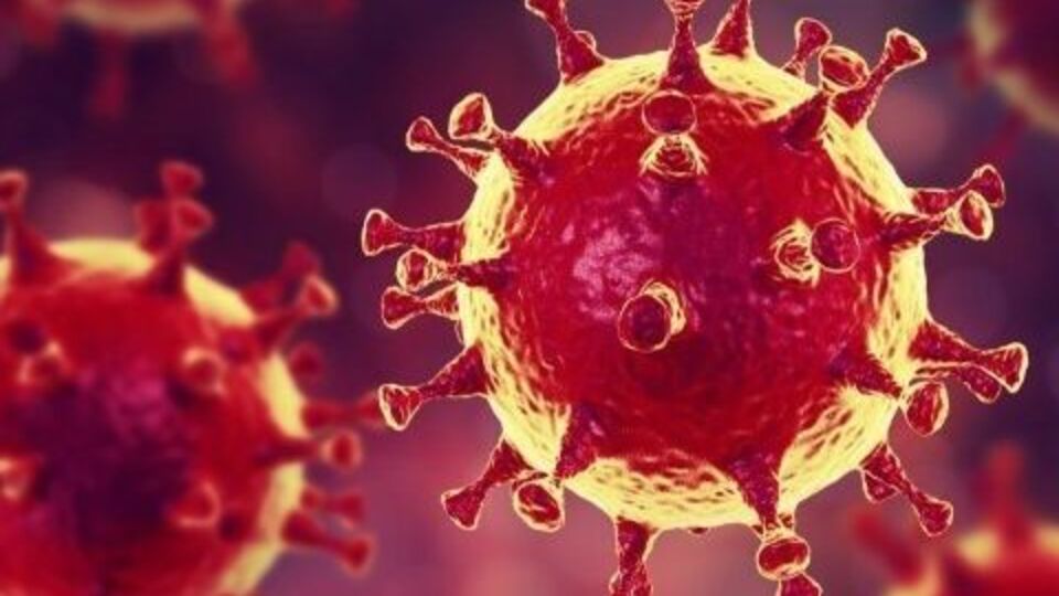 Учені почали розробляти тест у січні