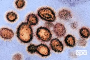 Немецкие аниматоры создали ролик о том, как коронавирус влияет на человеческий организм