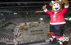 Чемпионат должен был пройти в Швейцарии